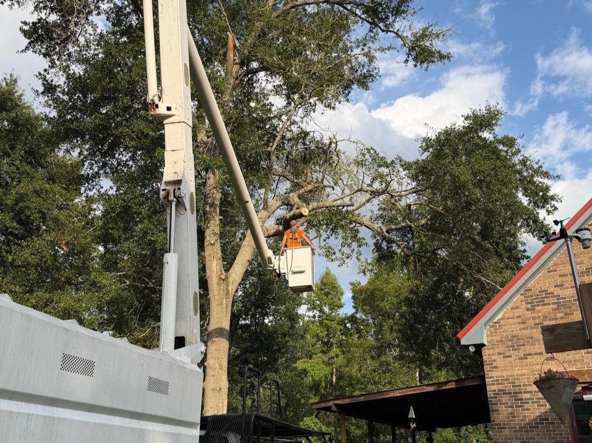 El Costeño Tree Service LLC